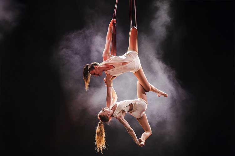 Artistikshows und Musicals von Les Lionnes Susanne Morgenroth realisiert