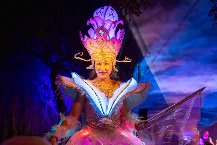 Lichterparaden und Lichterzauber von Les Lionnes concept | choreography | realisation, Susanne Morgenroth realisiert